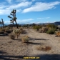 MECCA ROAD, Joshua Tree, CA 92252 ID:273095