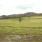 1323 East Main Street, Rogersville, TN 37857 ID:273371