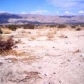 Elaine Road, Desert Hot Springs, CA 92240 ID:272492