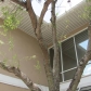 5301 N Habana Ave, Tampa, FL 33614 ID:281963