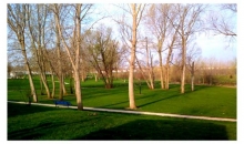 2310 Arlington St SW Cedar Rapids, IA 52404