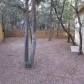 1209 N Ponderosa Circle, Payson, AZ 85541 ID:11118