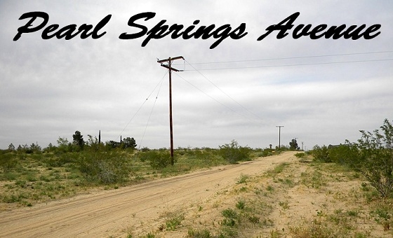 Pearl Springs Avenue, Twentynine Palms, CA 92277