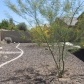 11738 W Daley Lane, Sun City, AZ 85373 ID:271285