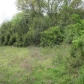 7.24 acres N. Lee Hwy, Charleston, TN 37310 ID:25358