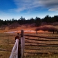 Jackson Creek Parkway & Higby Road, Monument, CO 80132 ID:209929