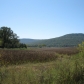 575 Orme Mountain Rd, South Pittsburg, TN 37380 ID:26130