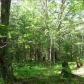 20 Rogers Rd, Traverse City, MI 49685 ID:64665