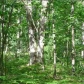 20 Rogers Rd, Traverse City, MI 49685 ID:64666
