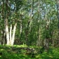 20 Rogers Rd, Traverse City, MI 49685 ID:64667