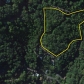 Forest Springs Drive, Gatlinburg, TN 37738 ID:186187