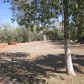 934 West Lynwood Street, Phoenix, AZ 85007 ID:295246