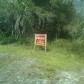 20101 State Road 54, Lutz, FL 33558 ID:279990