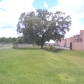 16307 N Florida Ave, Lutz, FL 33549 ID:321278