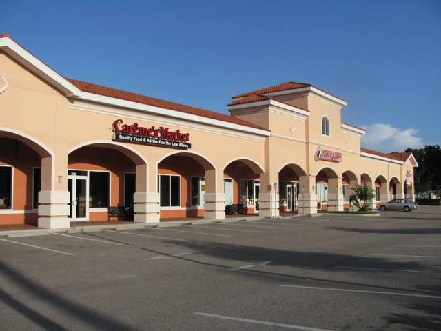 16307 N Florida Av, Lutz, FL 33549