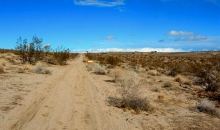 Sunkist  Avenue Joshua Tree, CA 92252