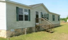 202 Pecan Street SW Poulan, GA 31781