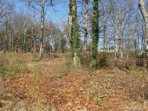 110 & 114 Knollwood DRive, Spartanburg, SC 29301
