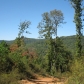 575 Orme Mountain Rd, South Pittsburg, TN 37380 ID:304287