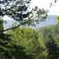 575 Orme Mountain Rd, South Pittsburg, TN 37380 ID:304288