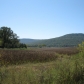 575 Orme Mountain Rd, South Pittsburg, TN 37380 ID:304289