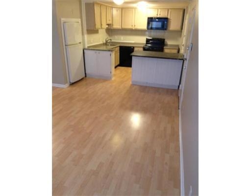 Jamaicaway #3, Jamaica Plain, MA 02130