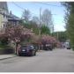 Kittredge St, Roslindale, MA 02131 ID:311932