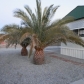 13769 E 51st Street, Yuma, AZ 85367 ID:11332