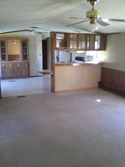 266 Sassafras Ct, Hollister, MO 65672