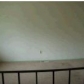 18202 E Lexington Rd, Independence, MO 64058 ID:191910