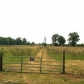 Vaughn Road, Montgomery, AL 36117 ID:355319