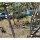357 E 91st St, Los Angeles, CA 90003 ID:370247