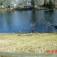 209 Coulbourn Mill Rd, Salisbury, MD 21804 ID:77751