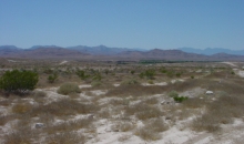 VirginRiver Moapa, NV 89025