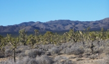 McCullough Mountain Range Sloan, NV 89054