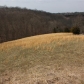 3855 Heekin Lawrenceville Rd, Williamstown, KY 41097 ID:264706