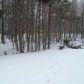 10630 Heather Ridge Rd, Traverse City, MI 49685 ID:436591