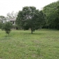 2909 Brundrett Road, Simonton, TX 77476 ID:456452