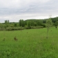 32665 296th Street, Red Wing, MN 55066 ID:411836