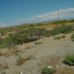 hWY 168/WARM SPRINGS-2, Moapa, NV 89025 ID:341868