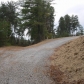CR 447, Vonore, TN 37885 ID:436666