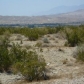 off Quail Trail, Desert Hot Springs, CA 92241 ID:467543