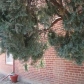 6002 E 29th Ave, Denver, CO 80207 ID:454810