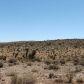 Blue Diamond Hwy, Blue Diamond, NV 89004 ID:343775