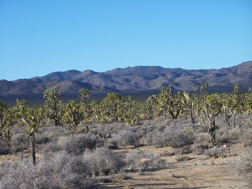 McCullough Mountain Range, Sloan, NV 89054