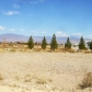 1300 Equestrian Ct, Pahrump, NV 89048 ID:341997