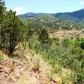 323 OAK PLACE, Manitou Springs, CO 80829 ID:309322
