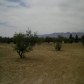 921 E Mesa Oeste Lane, Pahrump, NV 89048 ID:467146