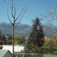 414  Main Street, Westcliffe, CO 81252 ID:491311