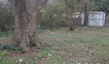 954 Coleman Street Atlanta, GA 30310